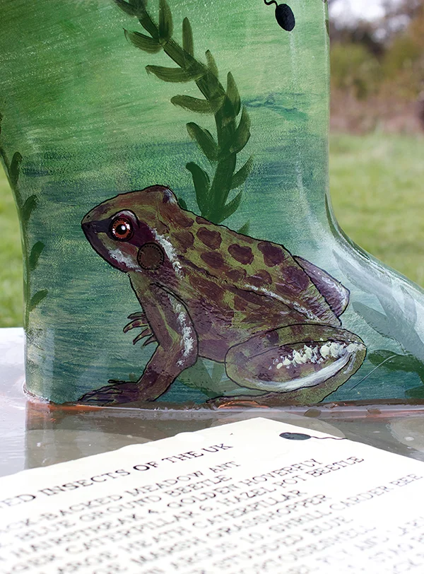 frog.jpg