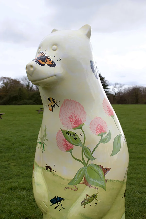 bear-3.jpg