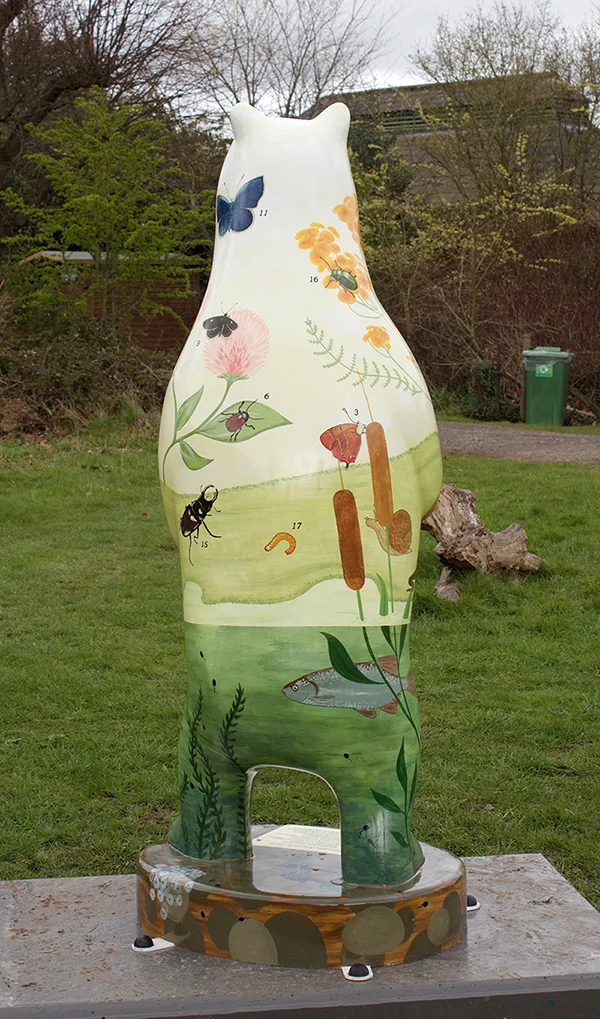 bear-back.jpg