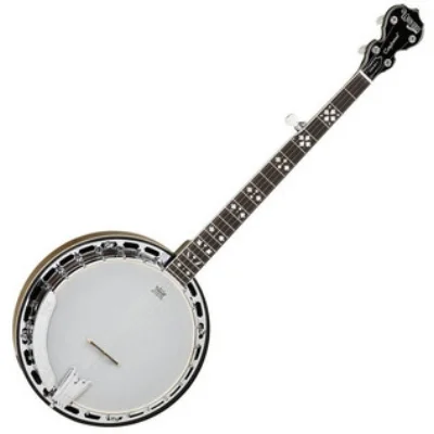 Tanglewood 5 string Banjo.jpg