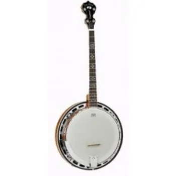 Tanglewwod 4 string Banjo.jpg