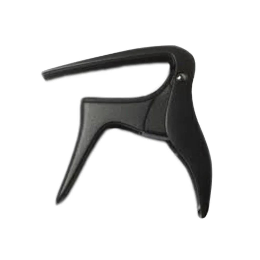 BBirdB-Capo-done.jpg