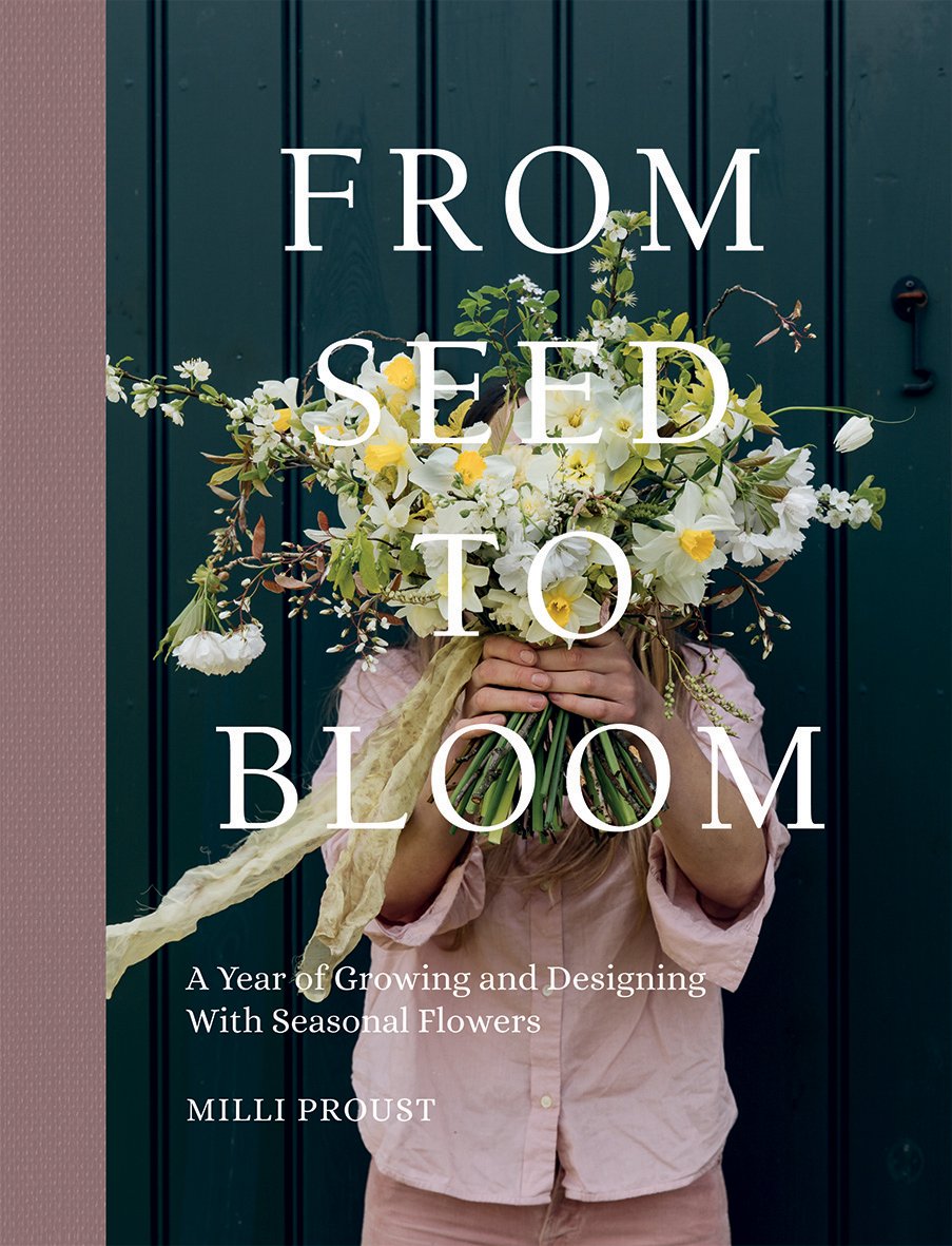 from seed to.jpeg