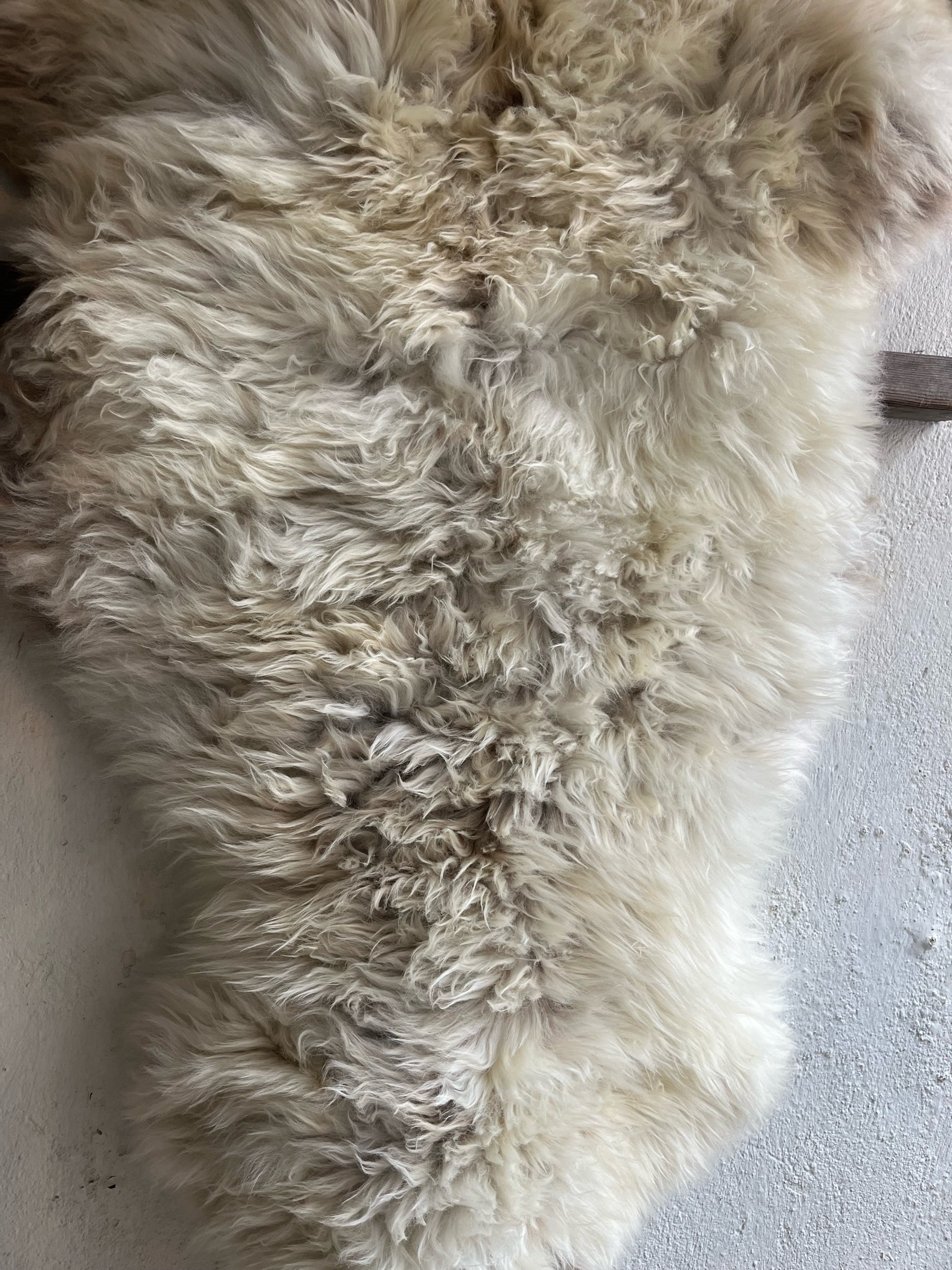 32CF62F5-E87A-4928-960F-B9C49F8974AE.jpeg