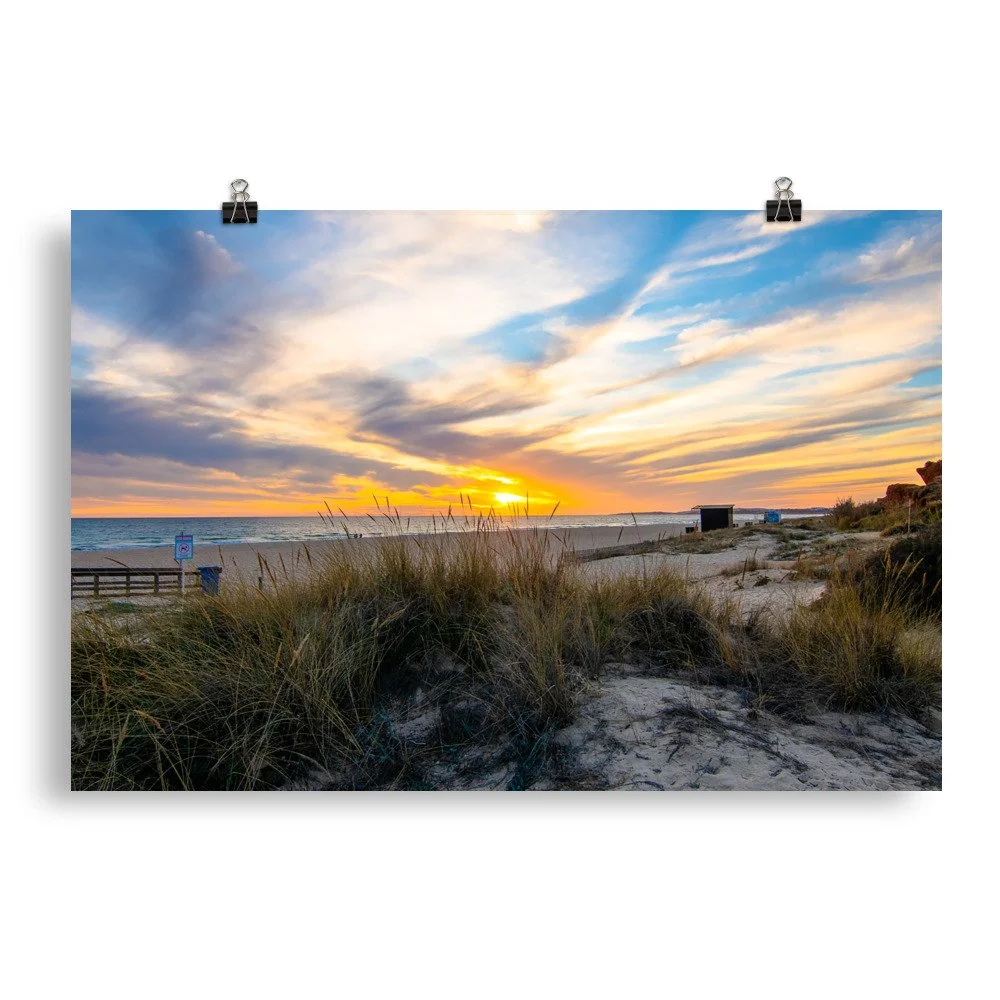 enhanced-matte-paper-poster-(in)-20x30-transparent-65fbbb705375e.jpg