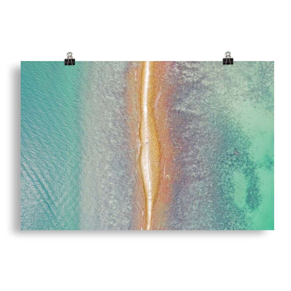 enhanced-matte-paper-poster-(in)-20x30-transparent-65fbbca6c8325.jpg