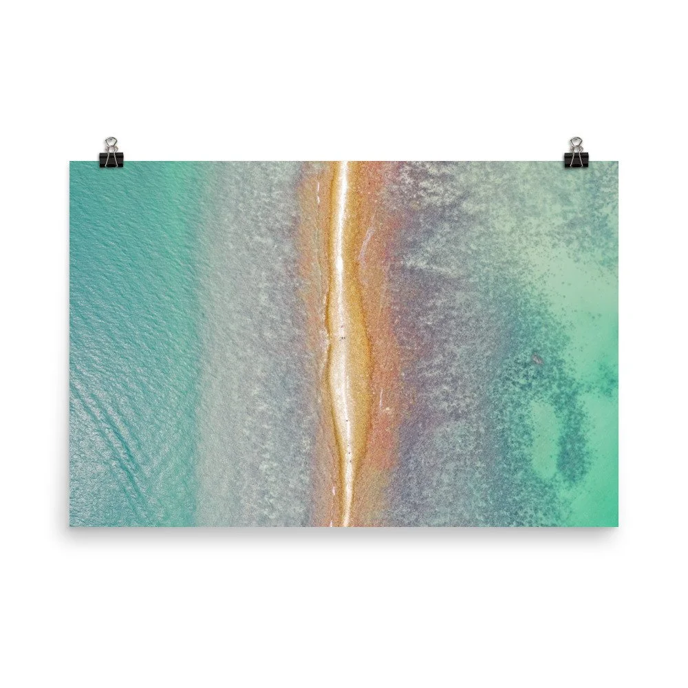 enhanced-matte-paper-poster-(in)-24x36-transparent-65fbbca6c97c2.jpg