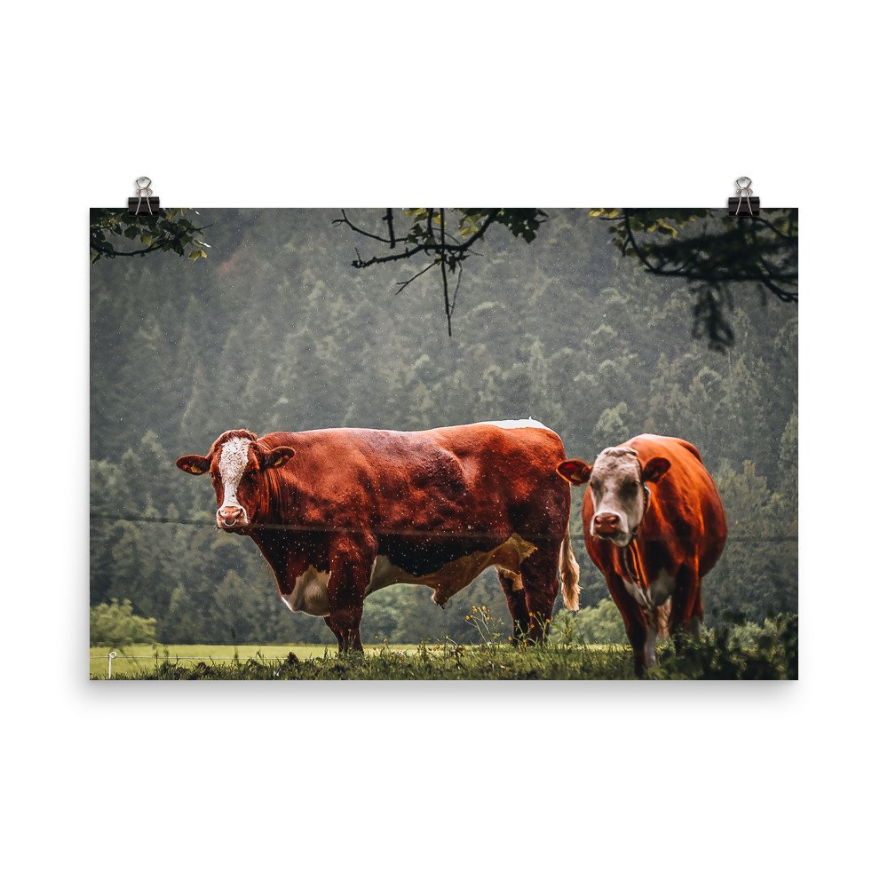 enhanced-matte-paper-poster-(in)-24x36-transparent-66028b1ab9a7c.jpg