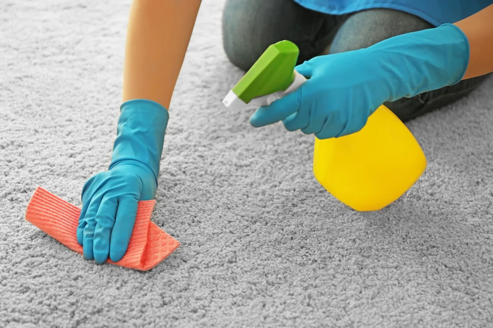 Person cleaning carpet with gloves and spray.jpg