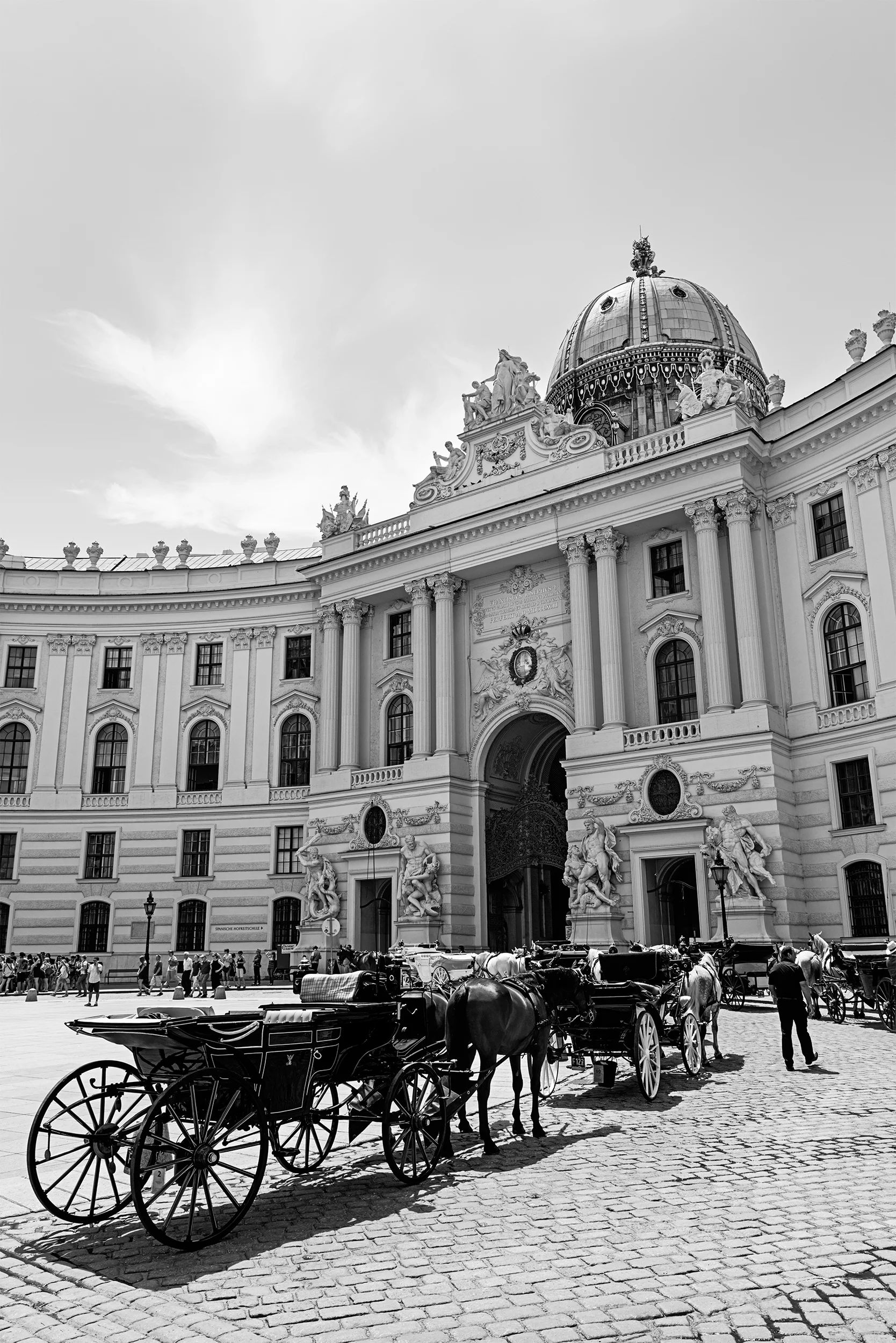 Toned carriage horses outside the Hofburg Palace in Vienna
