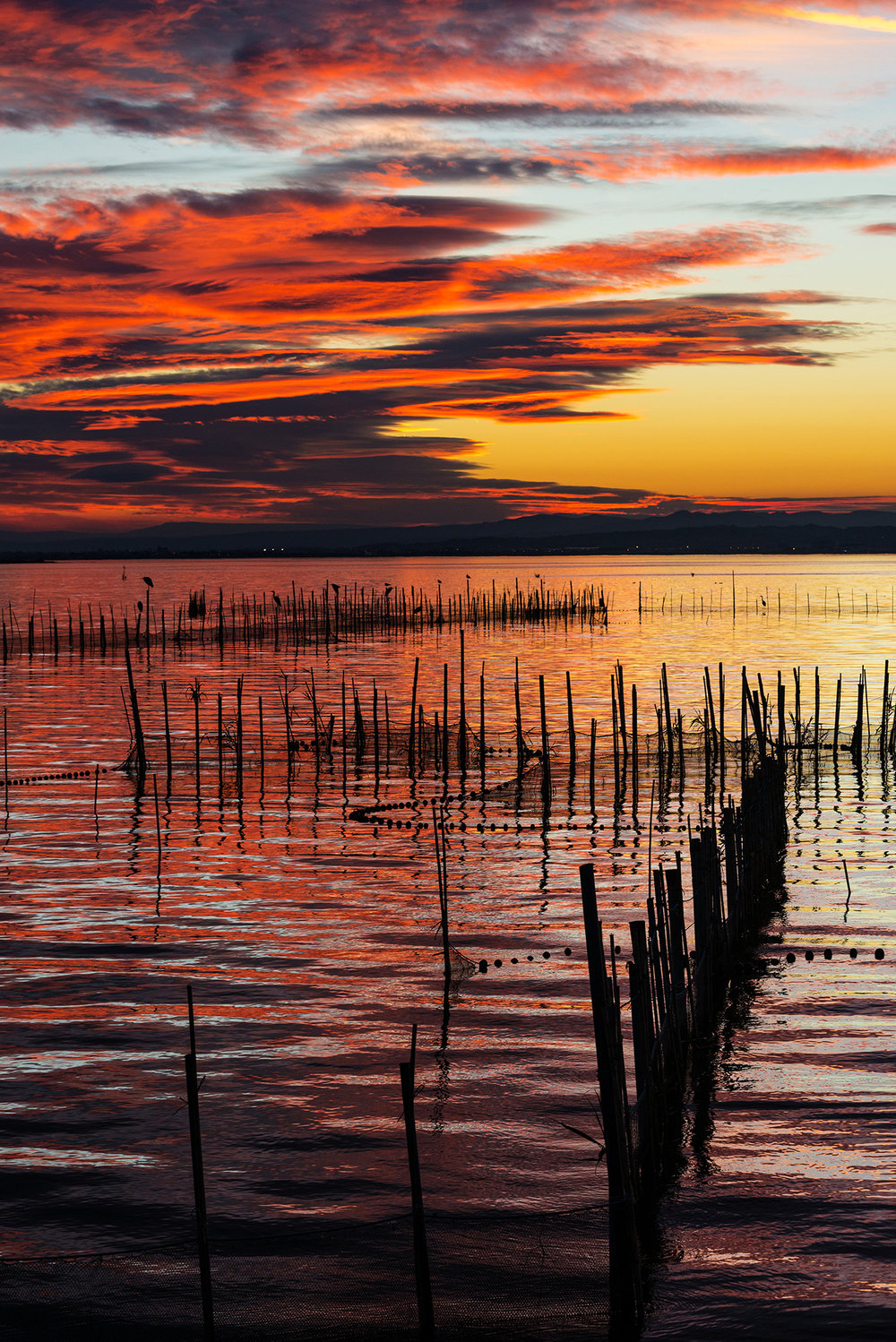 Red sunset in the Albufera in Valencia