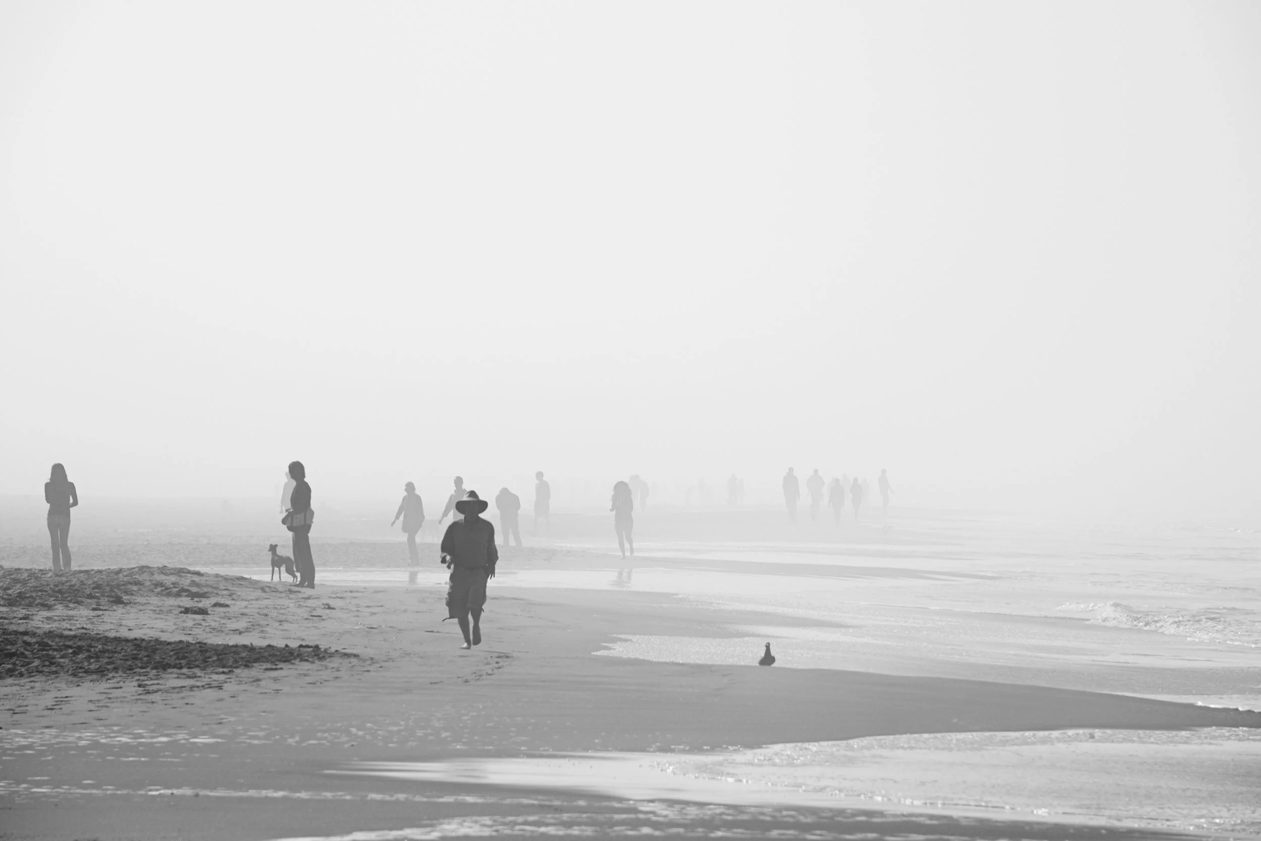 Silhouette of locals and tourists in a beach in San Francisco