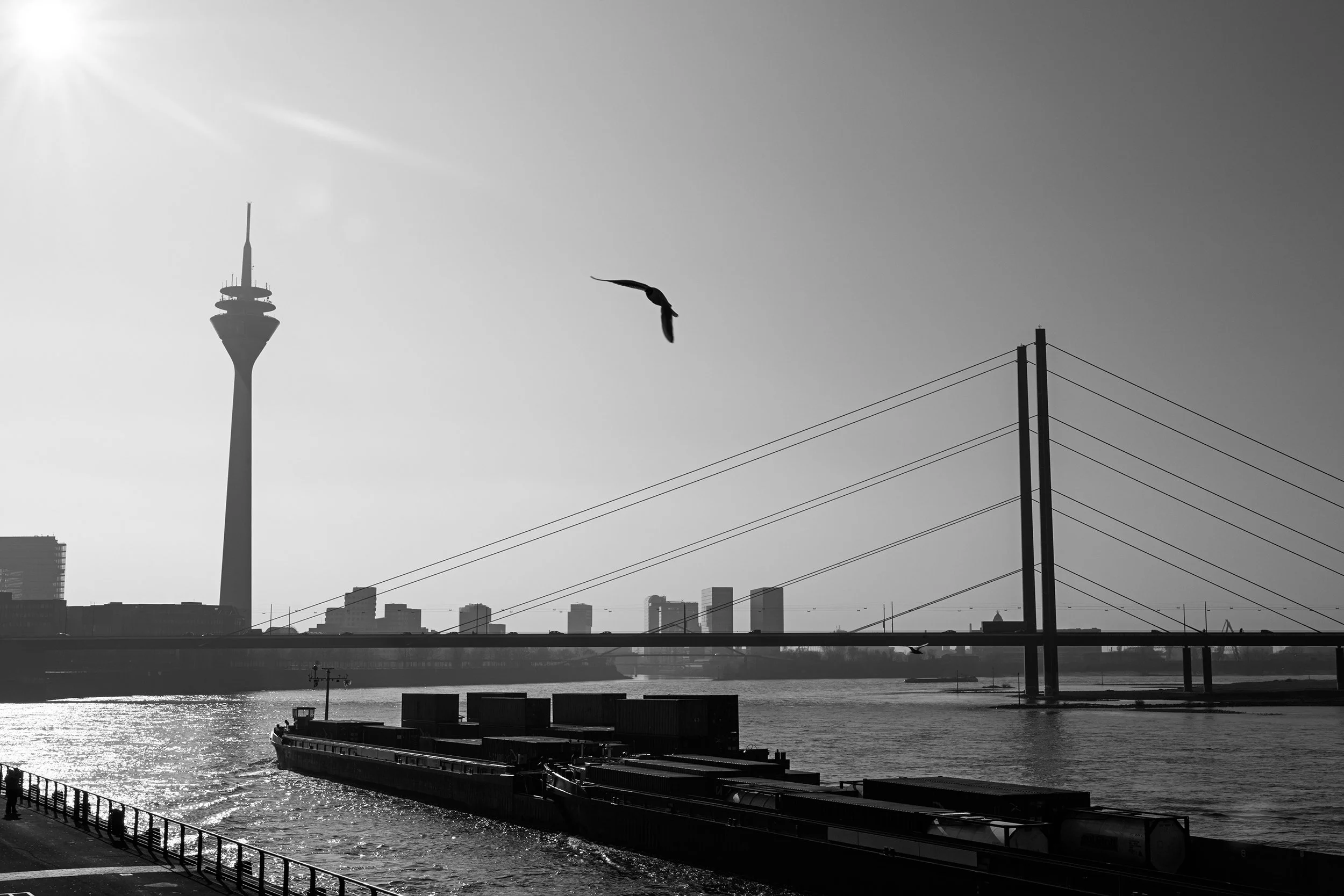 Late afternoon in Düsseldorf, Germany, with the silhouettes of the Rheinturm Tower and the Media Harbour.