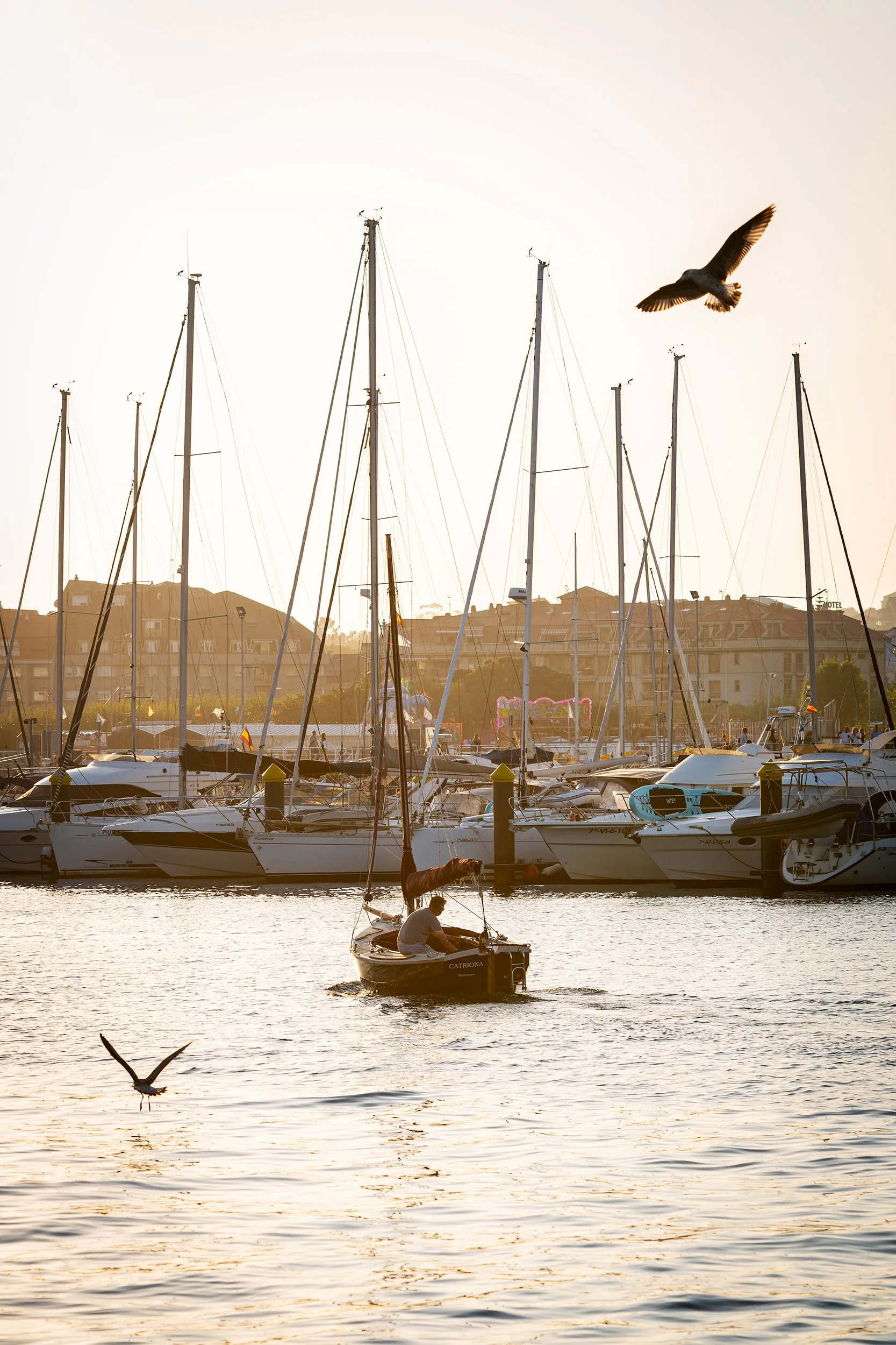 Boats moored in Portonovo Yacht Club in Galicia