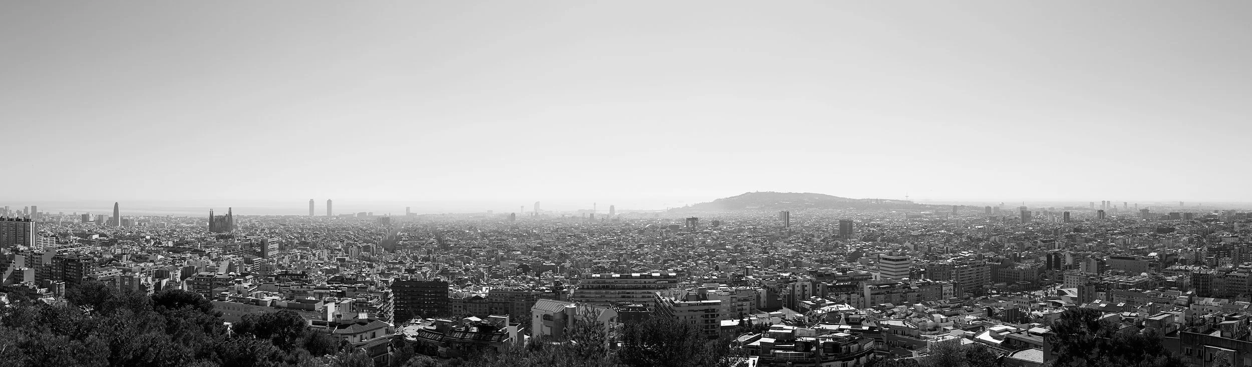 AGM_2631_pan.jpg