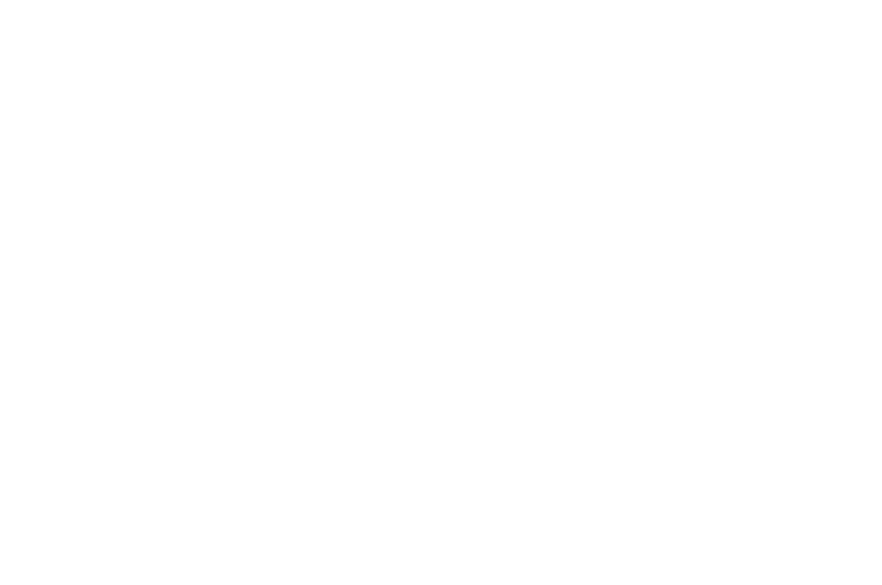 OFFICIAL SELECTION - Boston Galactic STARS - 2018.png