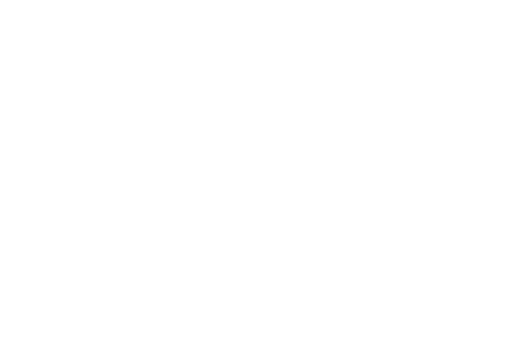 OFFICIAL SELECTION - Womens Only Entertainment Film Festival - 2017.png