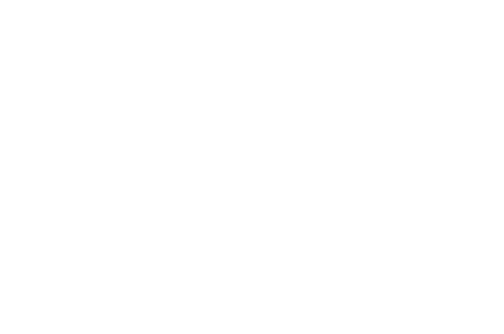 OFFICIAL SELECTION - MIDWEST WEIRDFEST - 2018-2.png