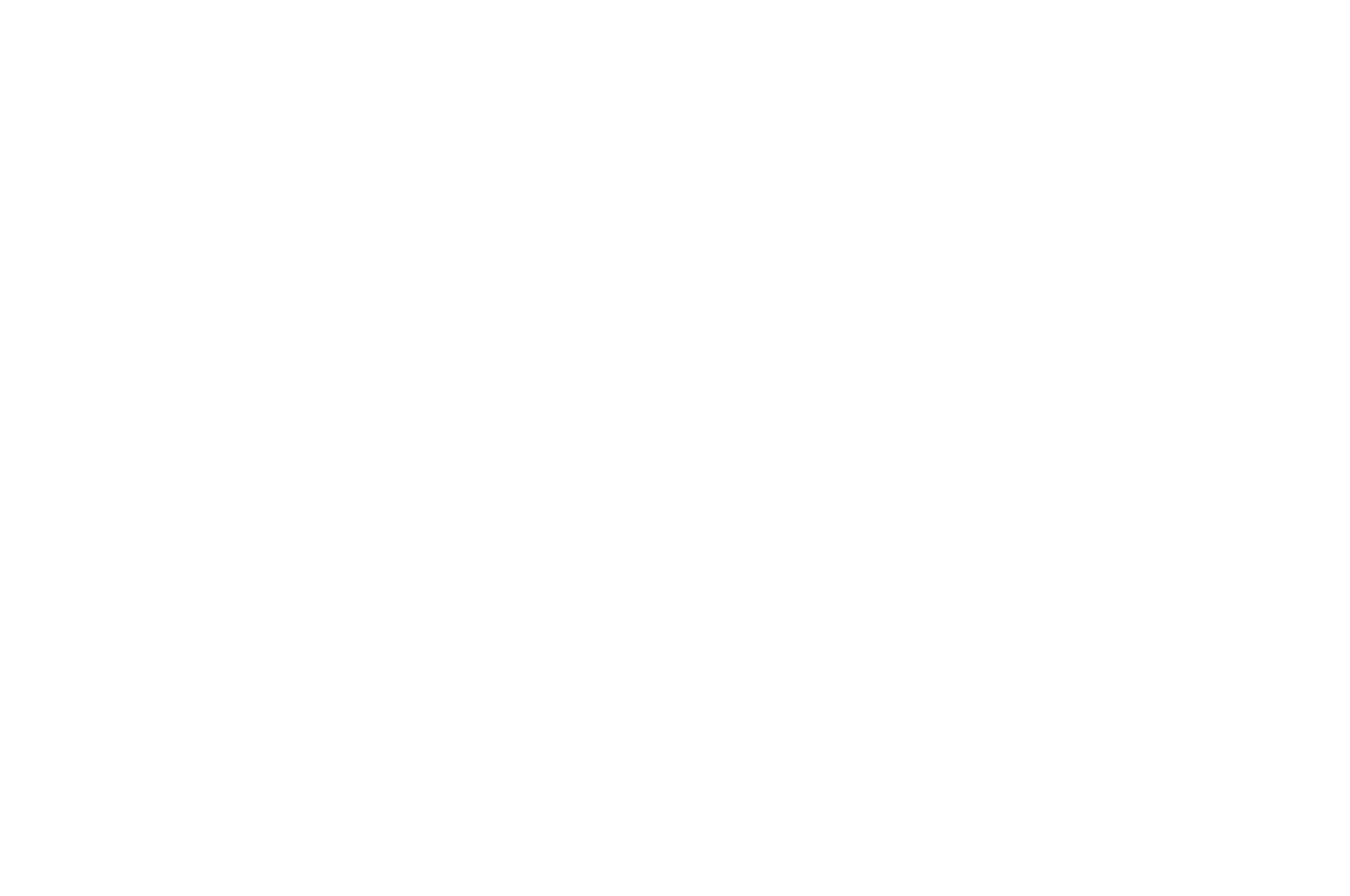 OFFICIAL SELECTION - Weird Local Film Festival - 2018.png