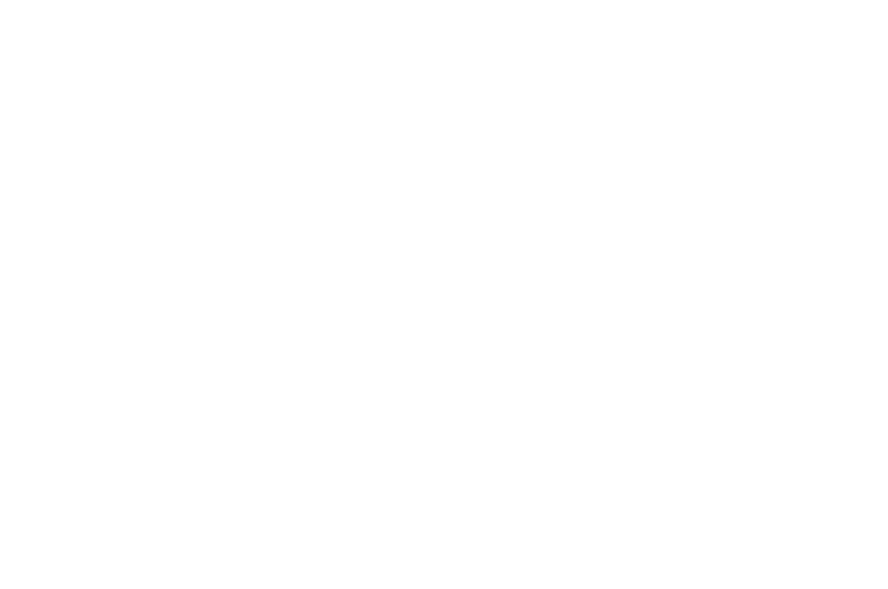OFFICIAL SELECTION - THE EIFA - The European Independent Film Award 2018.png