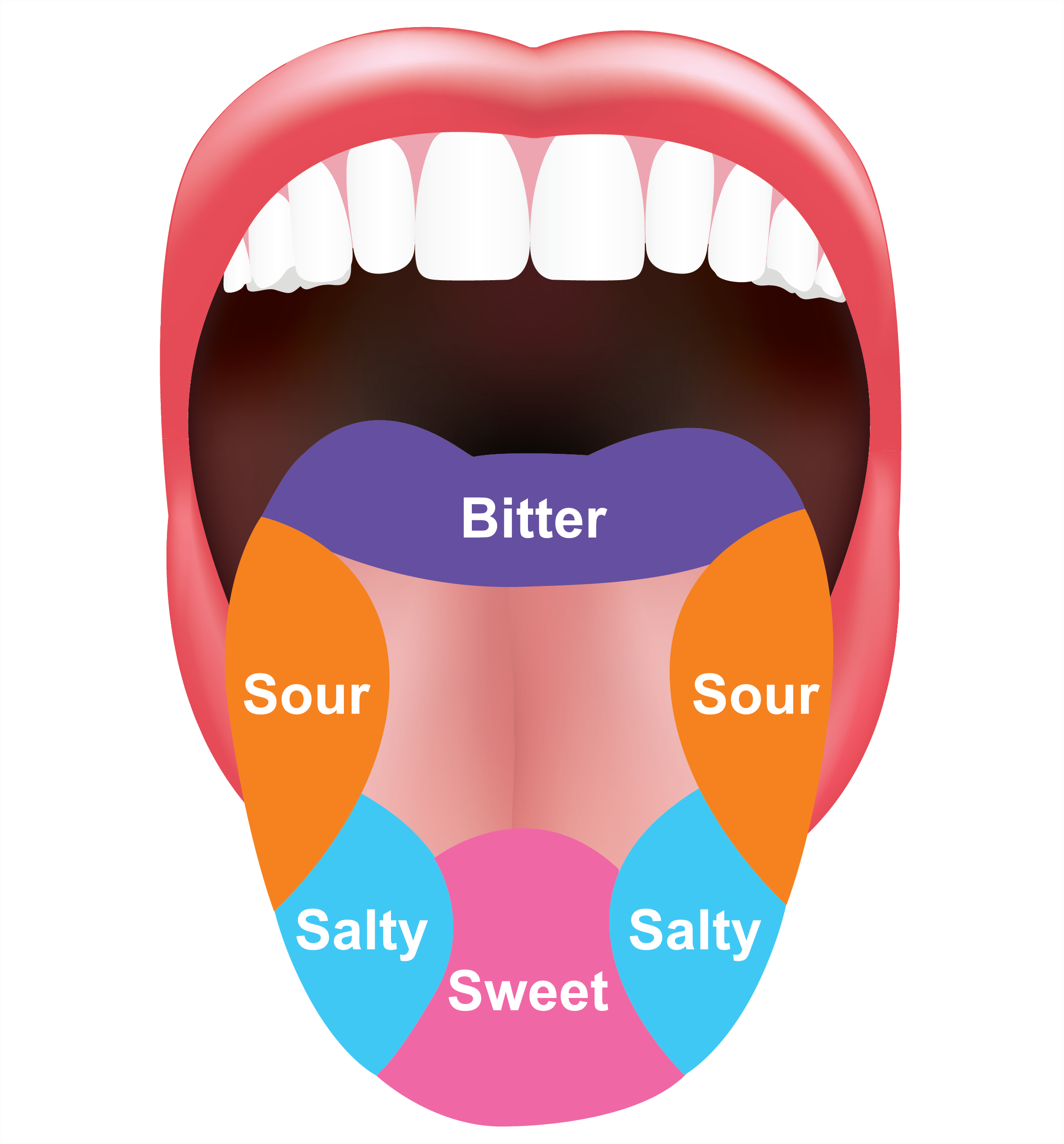 h2 tongue.png
