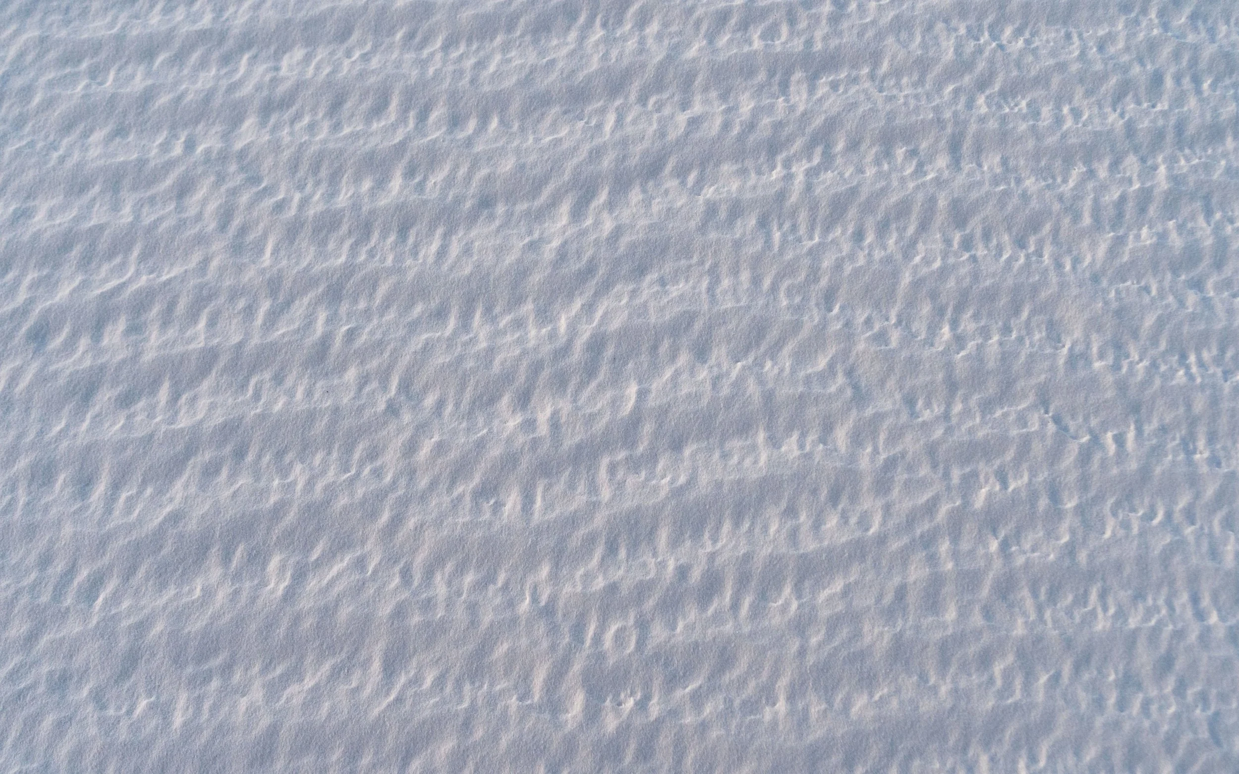 Nature's Normal Map