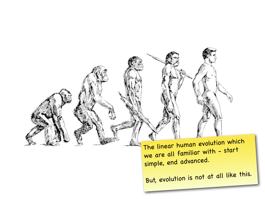 Evolution talk with note.003.jpeg