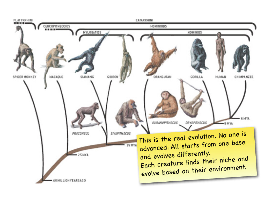 Evolution talk with note.004.jpeg