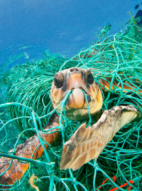 Let's get ethical, ethical