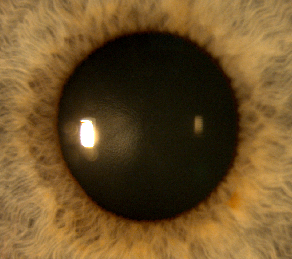 What makes you ethical then?