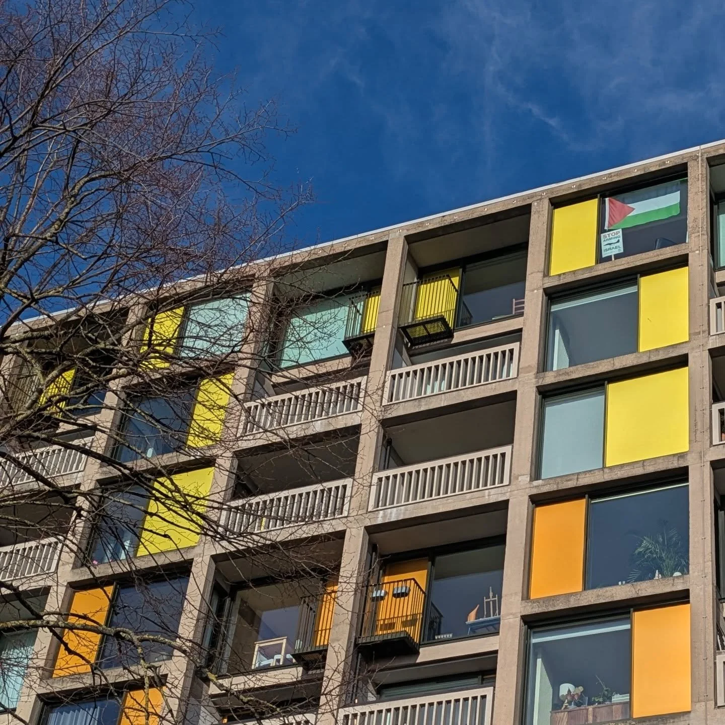 Beautiful light with the biting wind #parkhill