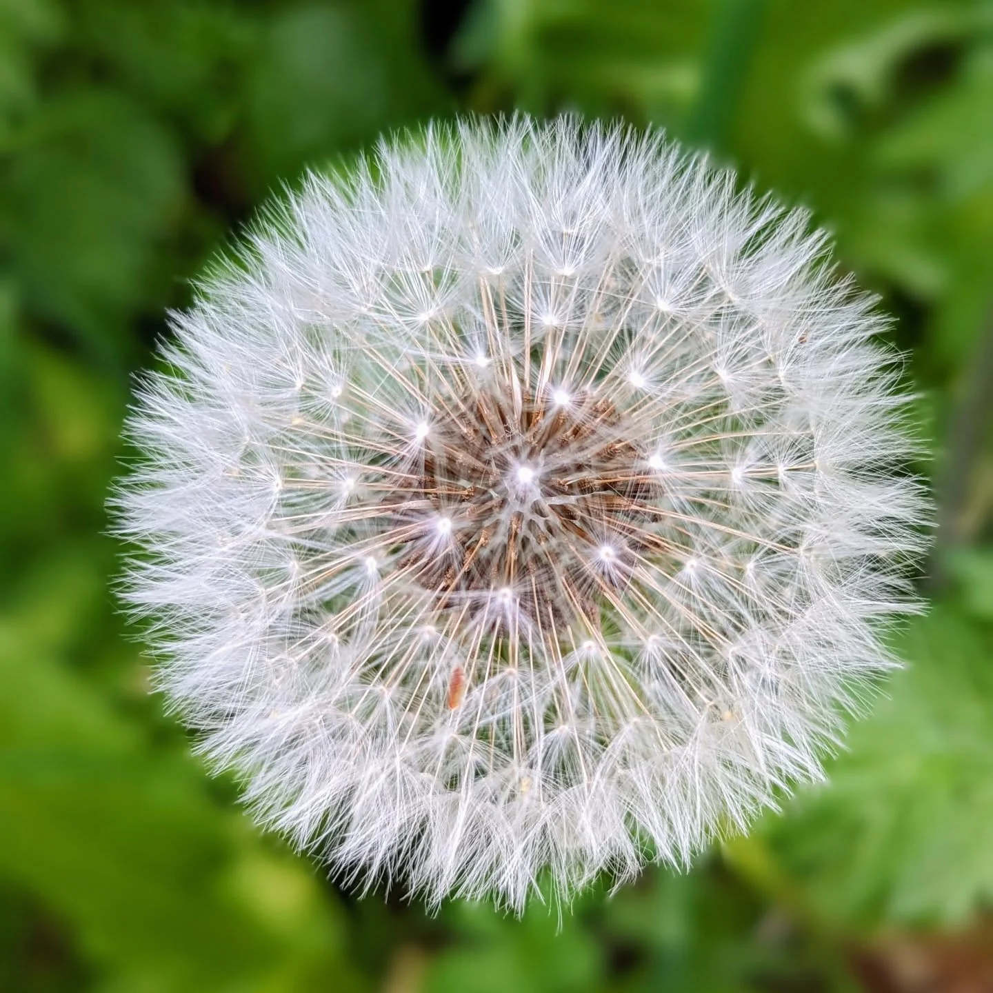 Spring 🌼 .... don't leave getting some prescription sunnier #weekendglasses until all the sunshine has gone 🙏🏻

Don't be that person who comes in and says I am off on holiday in a few days time - that's too late. 

Open Monday -Saturday 💛

#sheff