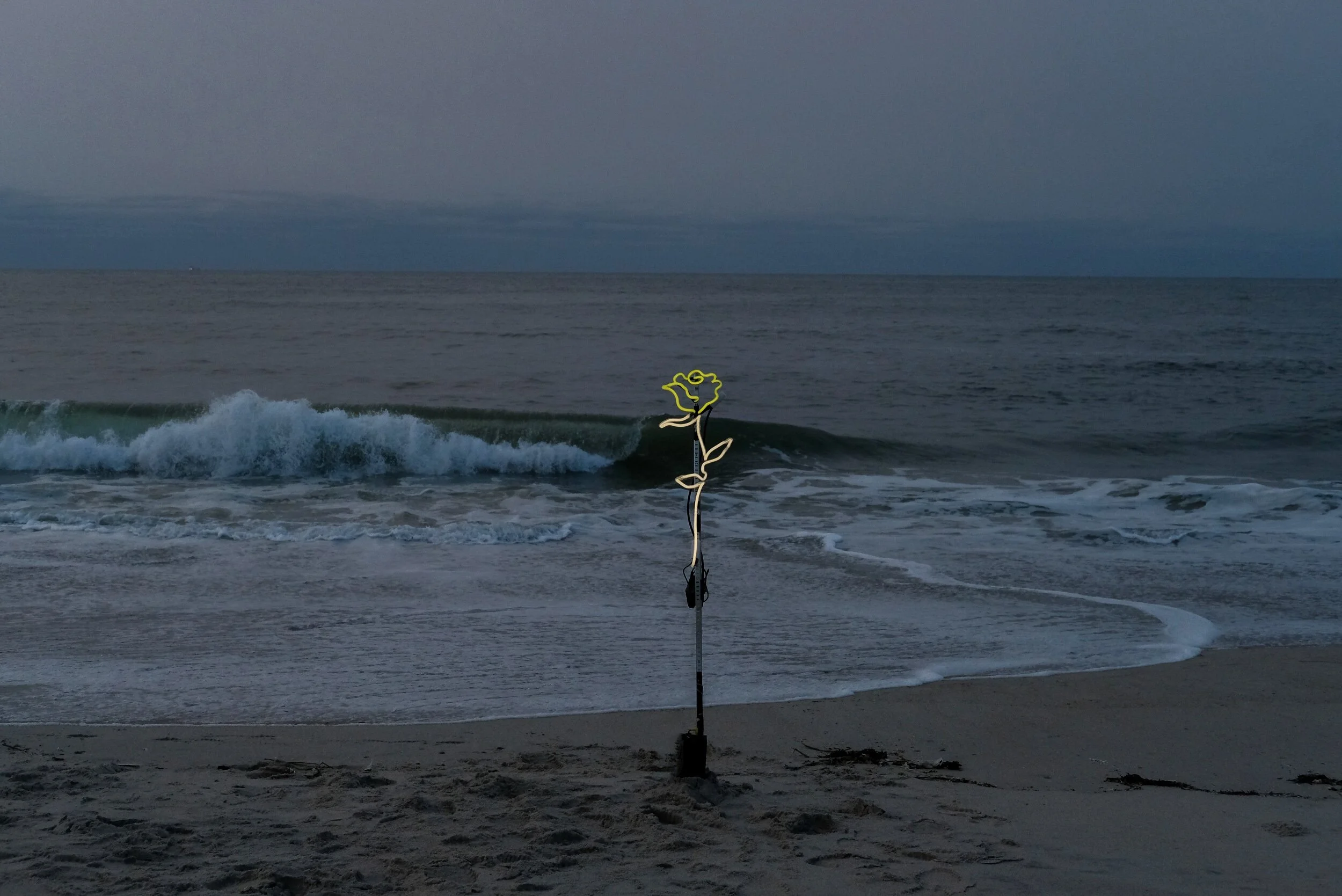 “Sunrise rose”8mm glass tube filled with argon and Mercury