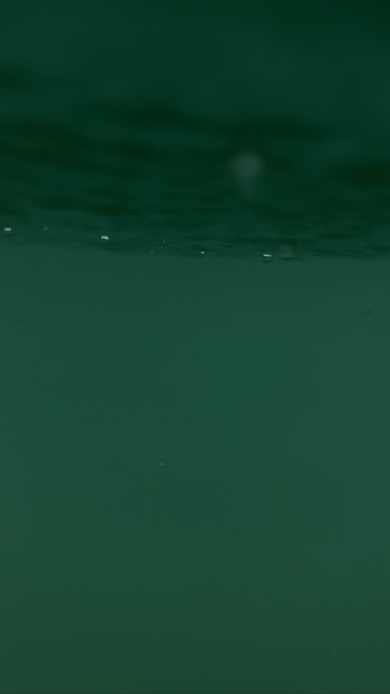 IMG_2809.png