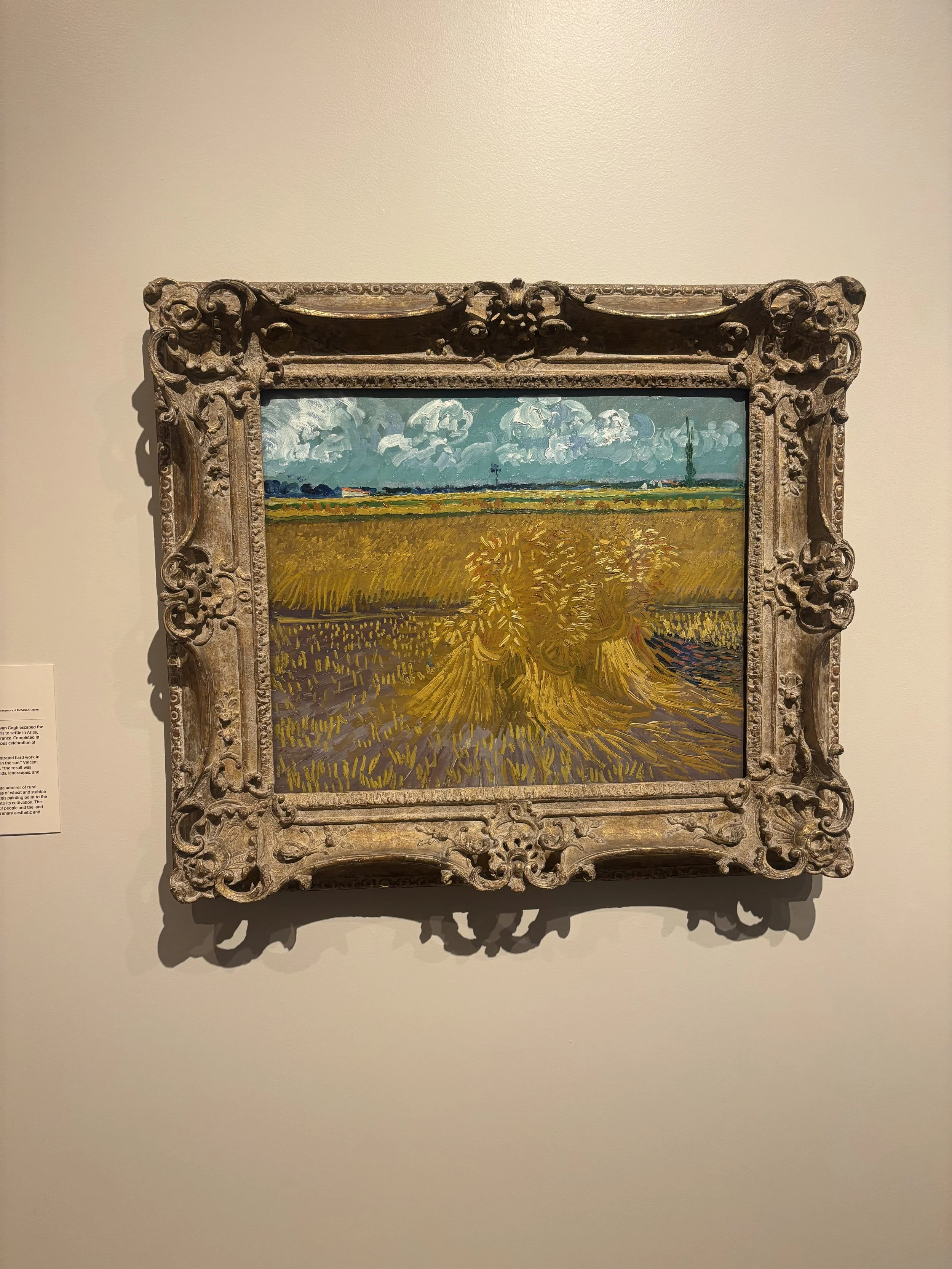 HONOLULU_ART_MUSEUM_HOMA_OAHU9.jpeg