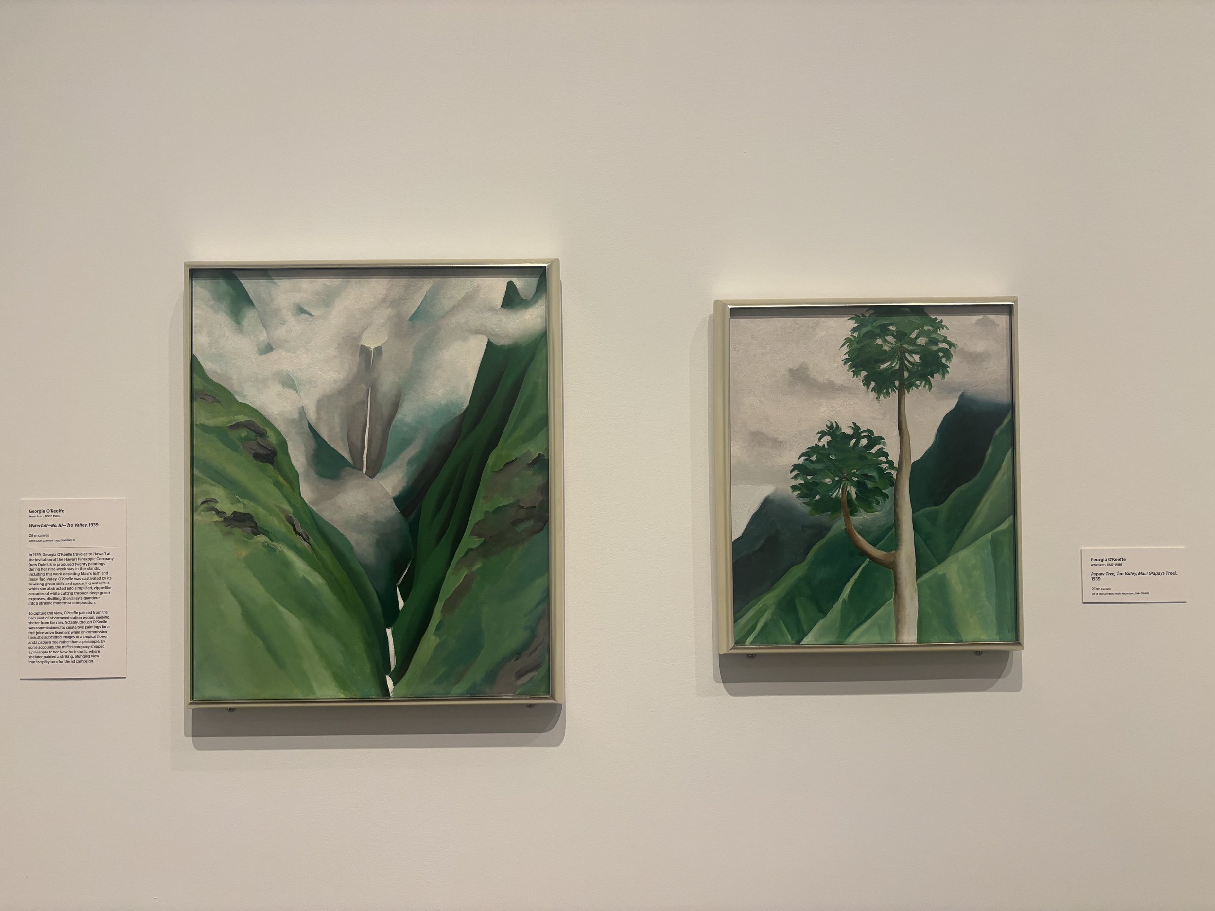 HONOLULU_ART_MUSEUM_HOMA_OAHU3.jpeg