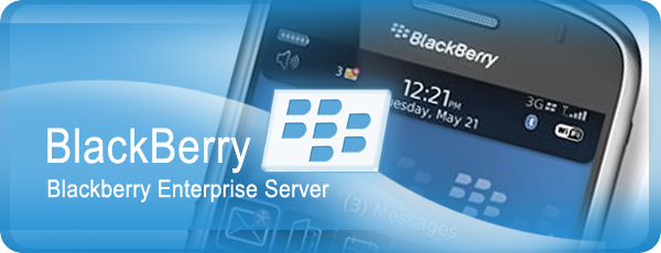 Added Boost to BCRP Membership Package