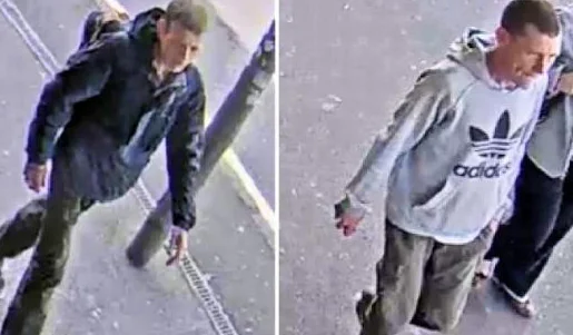 Handbag thieves sought