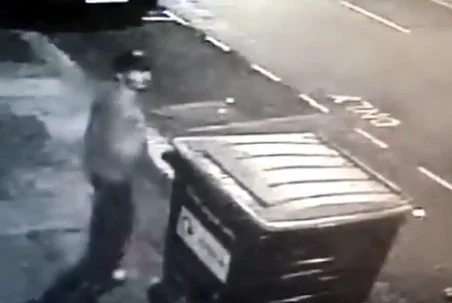 Investigation launched into a spate of bin thefts