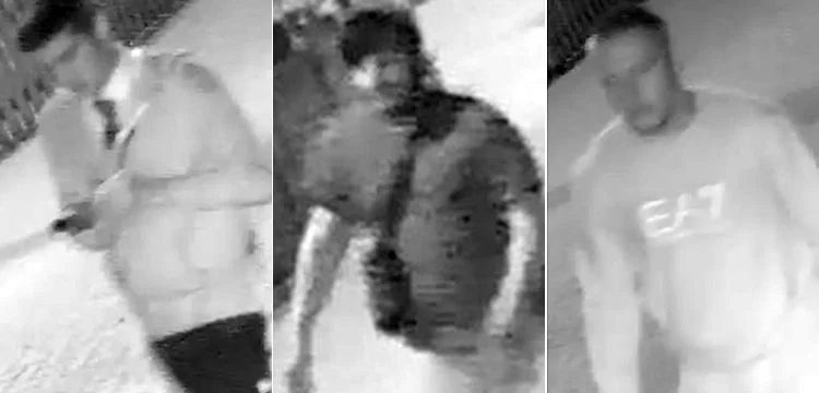 Five assaults in a single night