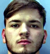 Teenager tasered by police jailed