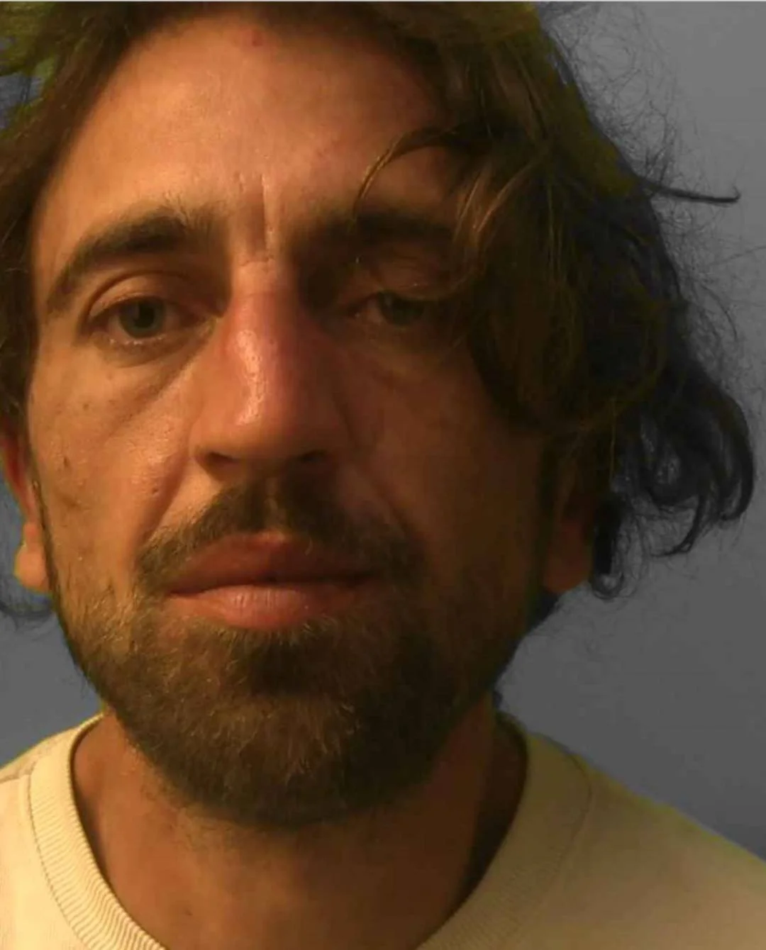 Shoplifter targeted by BCRP jailed