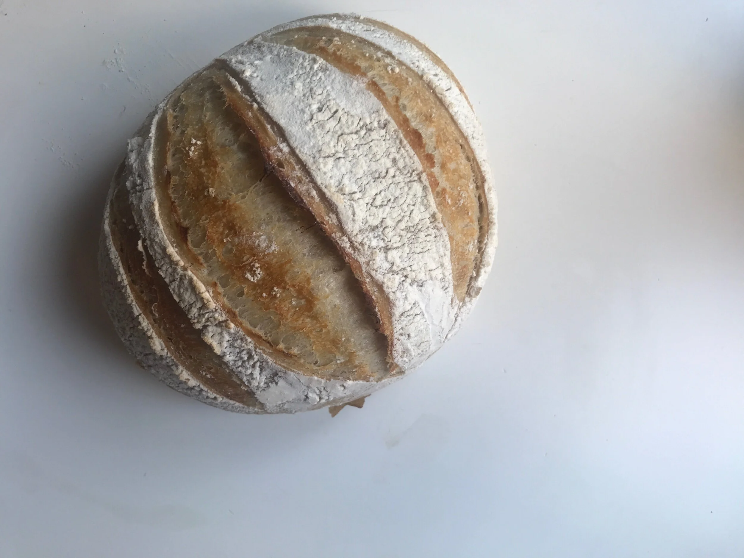 34235594-68A4-453E-9745-83A2CE597F15