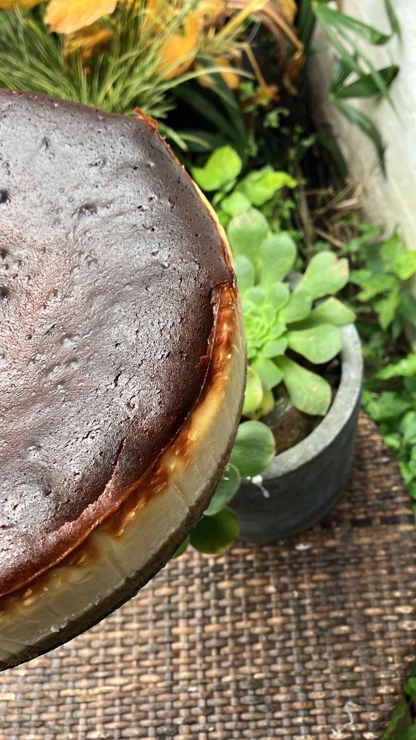 F73A6CEF-FB5B-45D4-87B5-65F8F17D7ED1