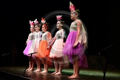 1487887366-drama-festival-2017-friday.jpg