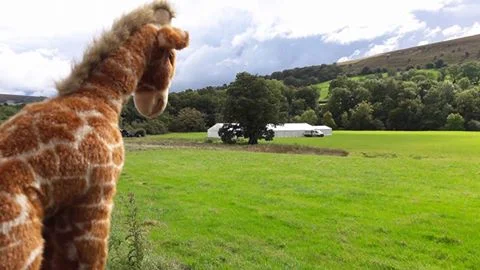 Keep an eye out for Jeffrey the Giraffe...