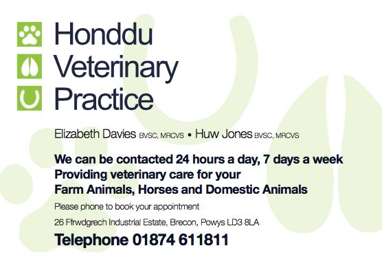 advert for sponsership.png