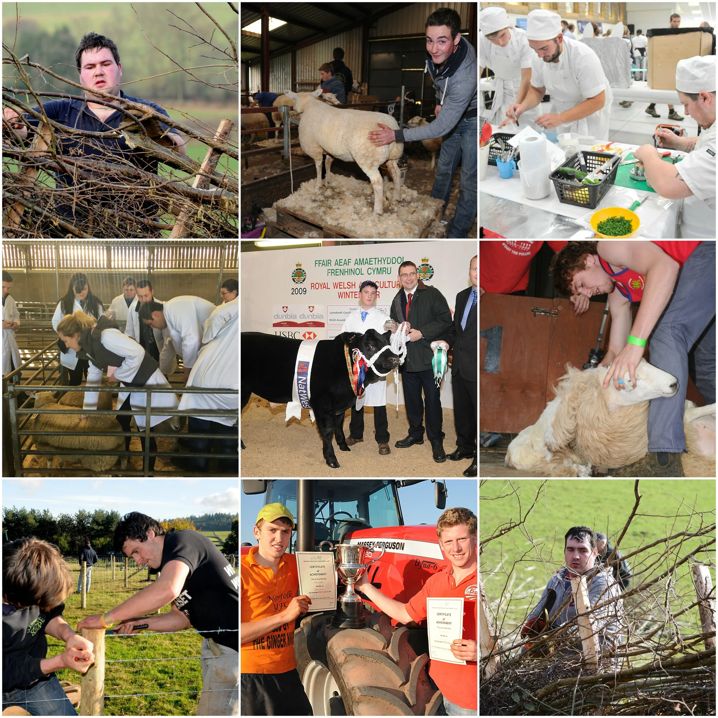 Prince's Countryside Fund - Brecknock YFC Training Application now Open