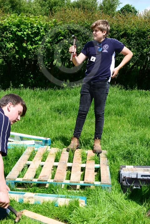 4974.jpg