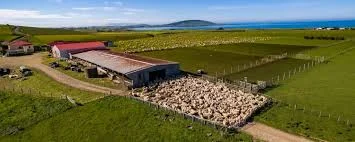 Under 35? Win a once-in-a-lifetime farming trip to New Zealand